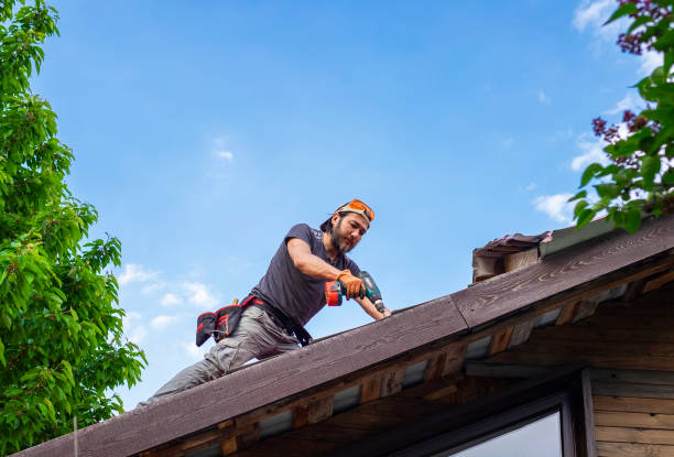 Best Roof Ventilation Installation  in Malta, IL